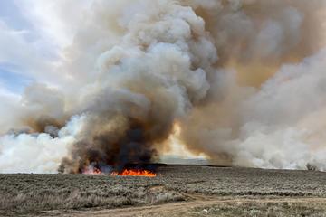 A prescribed burn on mountain big sagebrush.