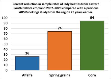 Infographic showing the percentage of reduction in sample rates of lady beetles from eastern South Dakota cropland compared to a study of the region 25 years ago.
