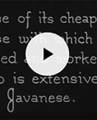 dorsettvideo.jpg image