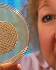 Laboratory technician holding a yeast culture.