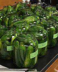 Jars of pickles