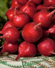 Red radishes