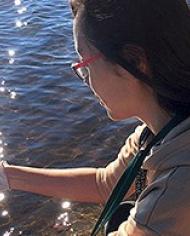 d4068-1.jpg image