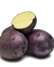 Huckleberry Gold potato