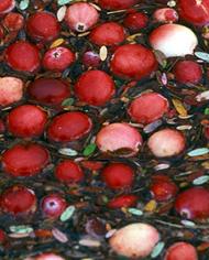 Cranberries