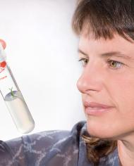 An ARS scientist observes a citrus seedling inside a test tube