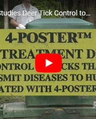 lyme.JPG (1) image