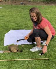 A woman digging a small hole in a yard and looking at an app on her mobile phone