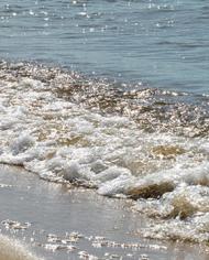 Chesapeake Bay shoreline