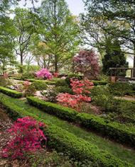 Garden with green boxwood shrubs, azaleas, and trees