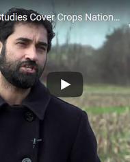 CoverCrops650.jpg image