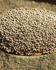 Whole chia seeds in a spoon.