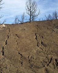 Soil erosion