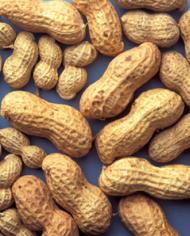 Peanuts in the shell.