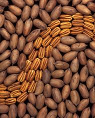 Pecans