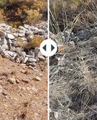 Before and after photos of Watershed 6 Check Dam 30 in November 2009 and December 2020.