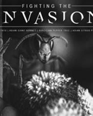 FightInvasion.jpg image